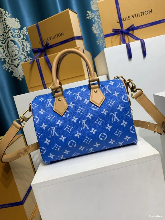 Rep ladies 25 Vuitton SPEEDY Louis 0815